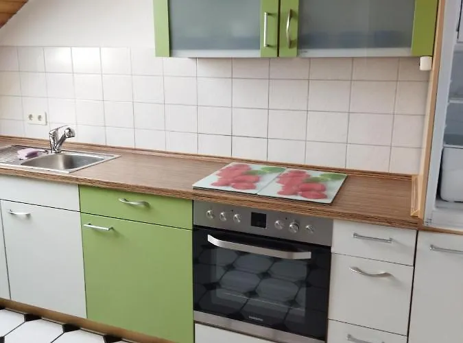 Apartamento Aussergewoehnliche Atelierferienwohnung Mit Balkon An Der Donau Winzer